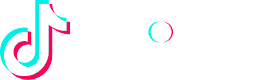 TikTok Marketing Partner